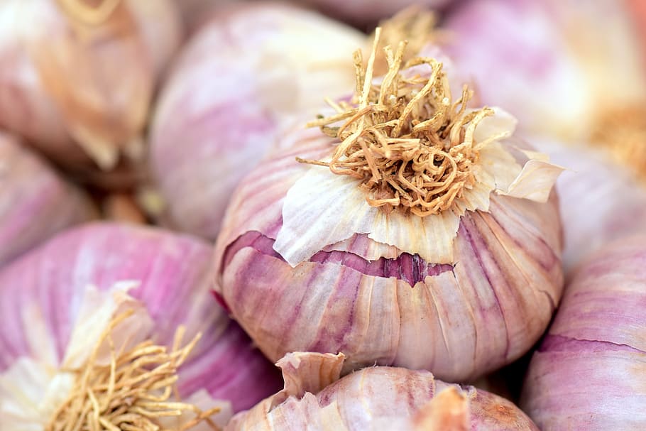 onion bulb, garlic, mediterranean, spice, cook, healthy, food, tuber, herb, eat