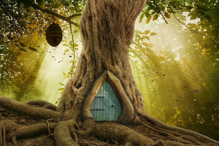 brown, tree, house, beehive, golden, hour, nature, wood, newborn, backdrop