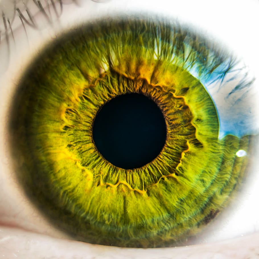 緑, 黒, 目のイラスト, 目, 眼球, 視力, 網膜, 見る, まつげ, 知覚
