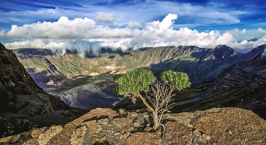 landscape, mountain, volcano, tambora mountain, a huge crater, shrubs, sumbawa, indonesia, cloud - sky, scenics - nature