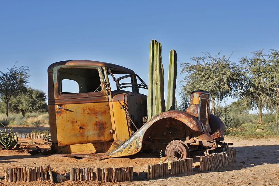 Namibia, Old Car, Cactus, Rust, abandoned, blue, clear sky, sky, day, transportation