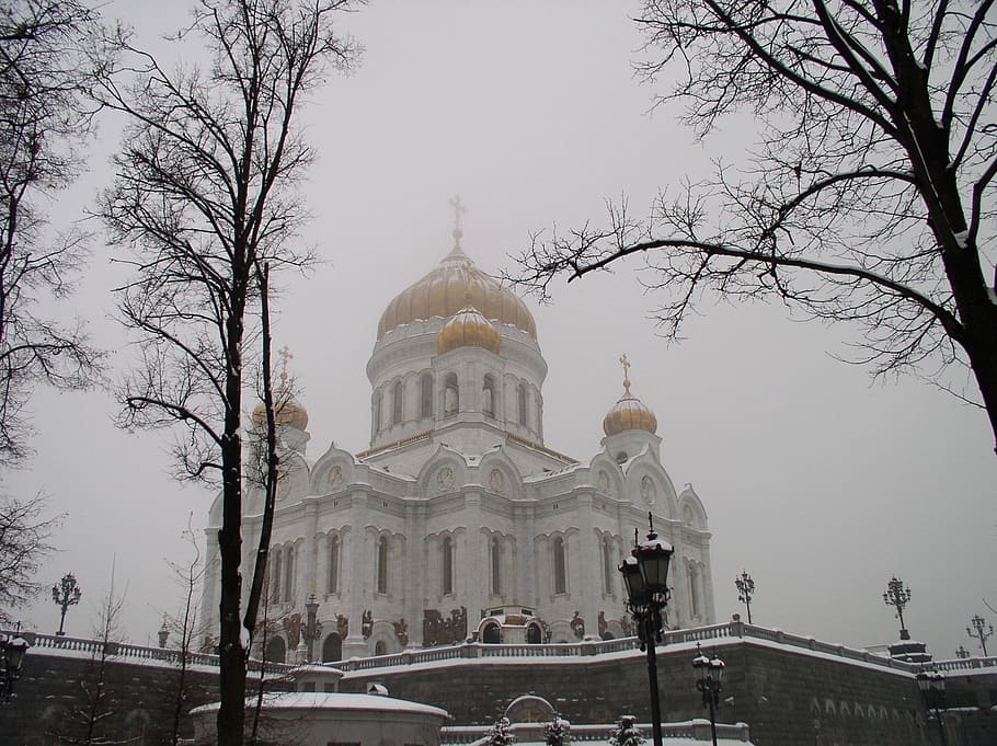 大聖堂, キリスト, 救世主, モスクワ, 霧, 冬, ドーム, 建築, 教会, 宗教