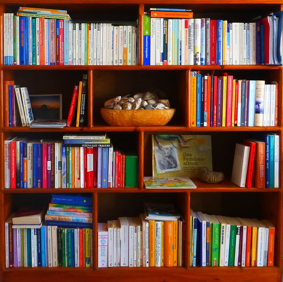 bookshelf, books, profession, read, education, unobtainable, library, bookcase, bound, study