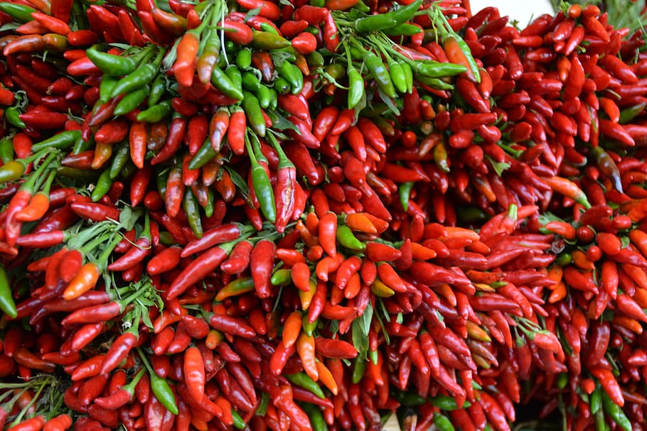 Chilli, Edible, Pods, Food, Paprika, red, piquant, eat, pepper, sharpness