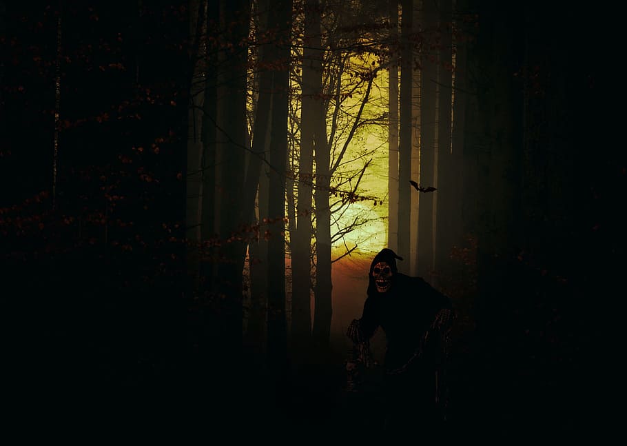 man, wearing, hoodie, middle, forest, spirit, ghost, halloween, skeleton, creepy