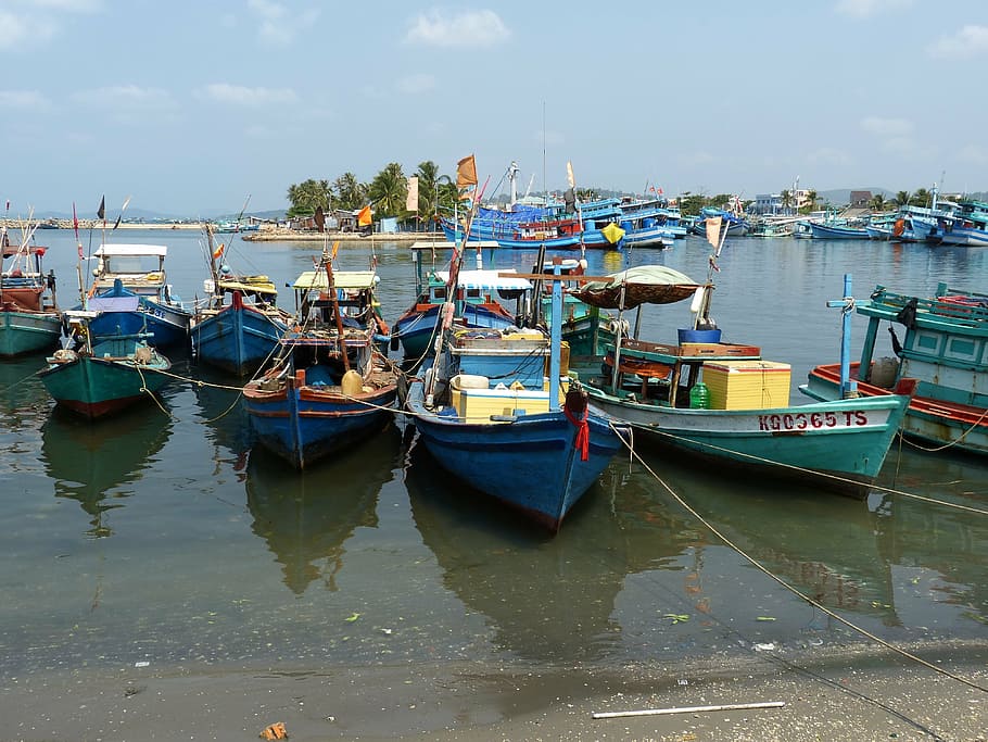 vietnam, phu quoc, port, sea, boats, fischer, ship, fishing boat, nautical vessel, water