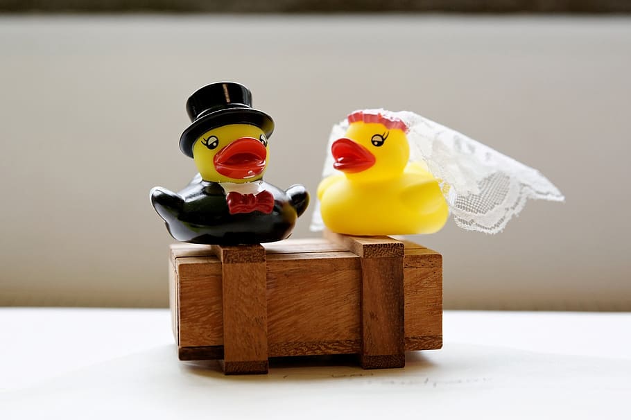 two, bride, groom rubber ducky decorations, wedding, veil, cylinder, luck, eternity, pair of ducks, toy