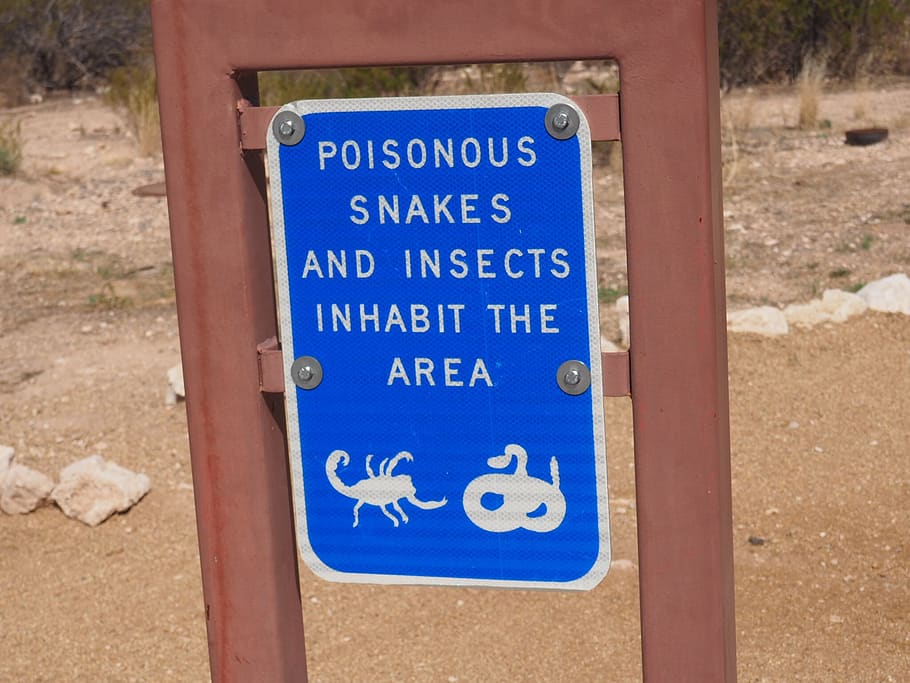 tanda peringatan, ular berbisa, bahaya, tanda, racun, reptil, biru, tanda cacat, akses dinonaktifkan, teks
