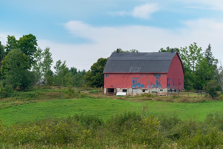 barn, red, land, farm, landscape, outdoors, field, nature, colorful, summer