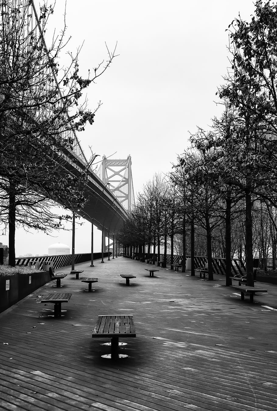 Filadelfia, puente, frente al mar, río, ciudad, urbano, parque, delaware, arquitectónico, árbol