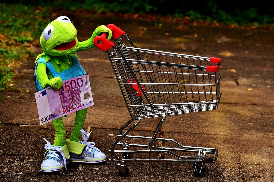 tenencia, billete de 500 euros, carrito de supermercado, Kermit, carrito de compras, rana, compras, diversión, peluche, juguetes