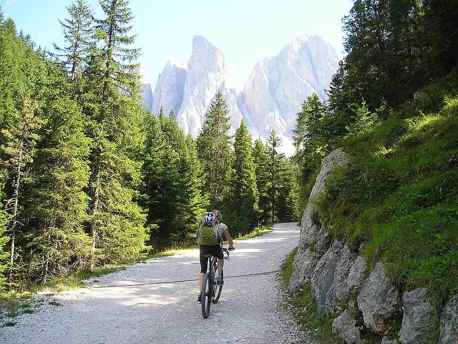 man, riding, bike, road, surrounded, treest, mountain bike, tour, transalp, bike ride