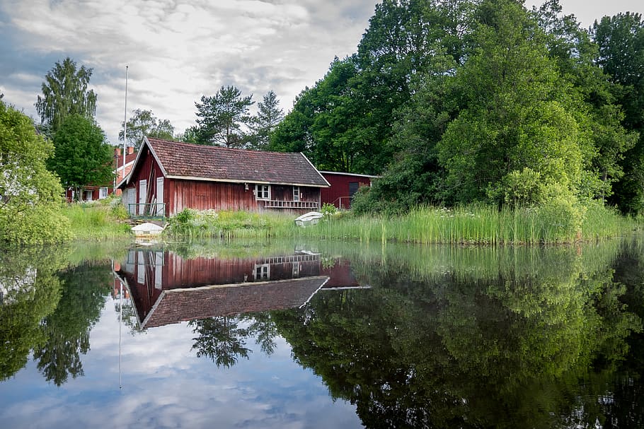 house, cottage, lake, water, reflection, green, grass, trees, plant, nature