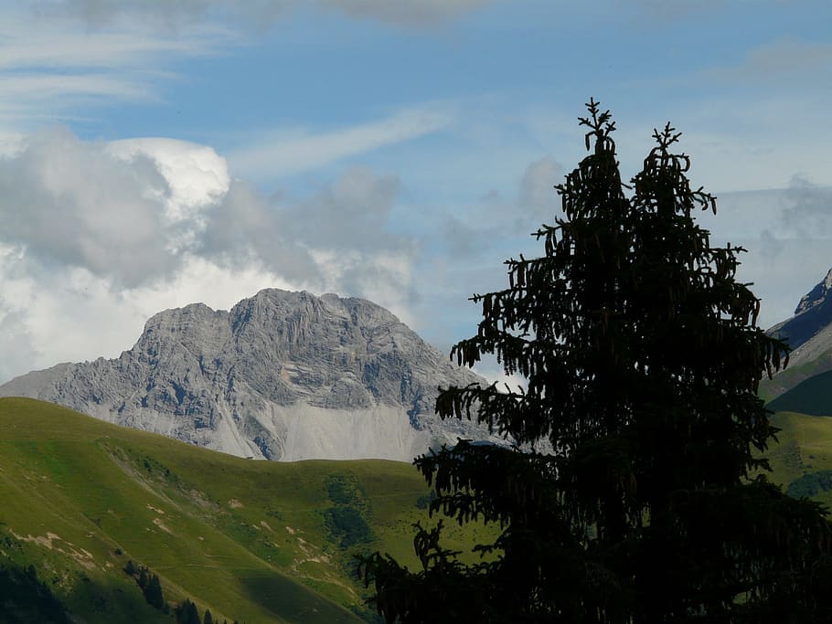 panorama, alpine, mountains, mountain, tree, fir, alpenpanorma, meadow, alm, sky