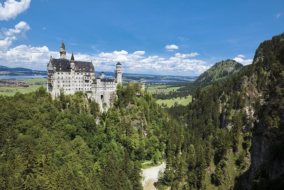 bavaria, schwangau, neuschwanstein castle, mountain, forest, trees, tree, plant, architecture, history