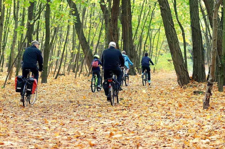 ciclistas, personas, mientras viajan, bicicleta, bosque, otoño, árboles, alfombra, hojas, color