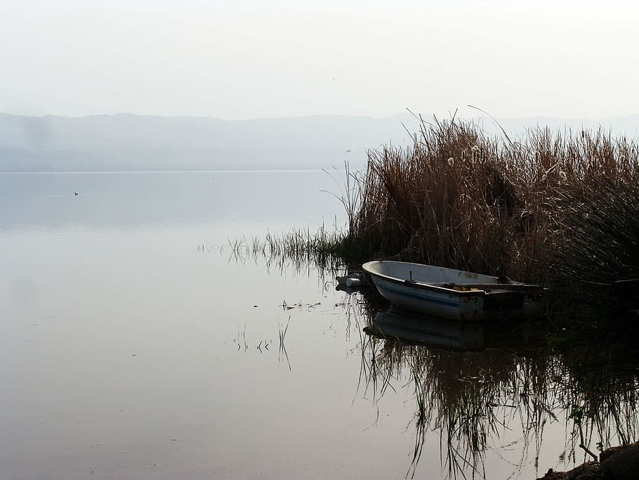 foto, blanco, marrón, barco, hierba, juncos, lago, Iznik, Turquía, agua