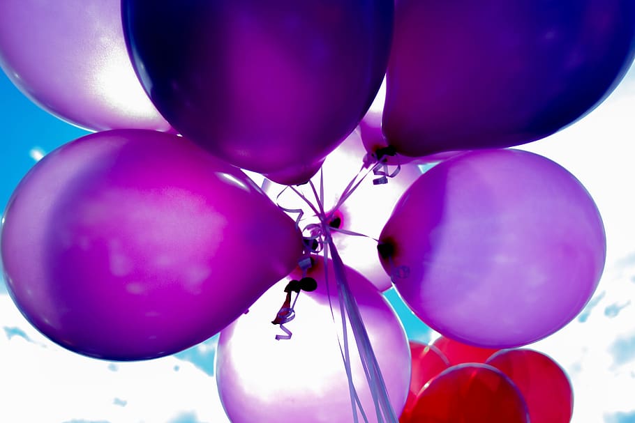 globo, colorido, rojo, azul, violeta, fiesta, soleado, día, cumpleaños, celebración