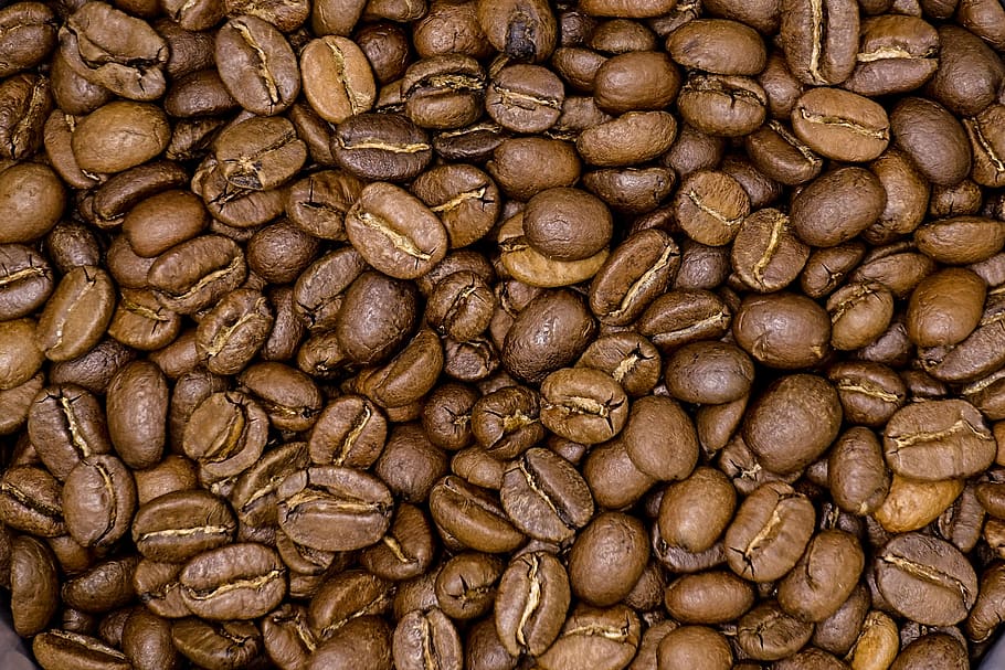 café, café expresso, cafeína, a bebida, feijão, mocha, capuccino, arábica, alimentação, semente