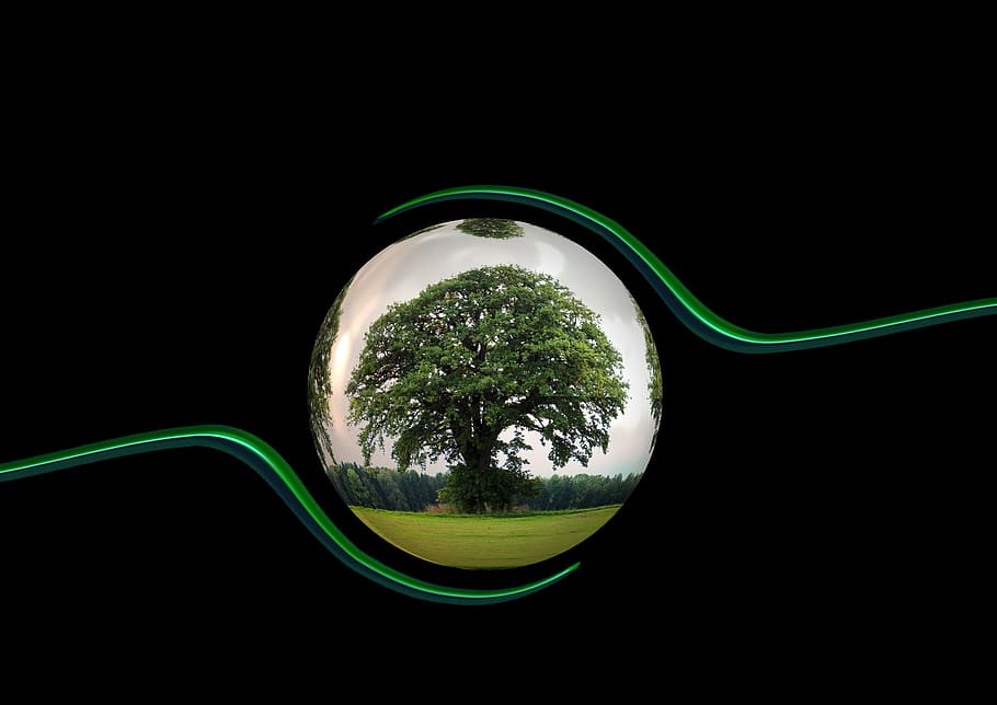 green, leafed, tree illustration, ecology, protection, protect, tree, responsibility, globe, earth