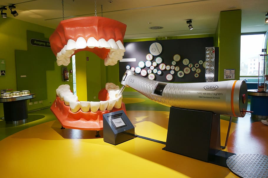 salzburg-house-of-nature-teeth-dentist.jpg