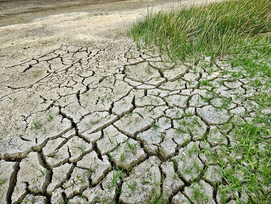 green grass, climate change, drought, climate, dry, environment, nature, warming, desert, disaster
