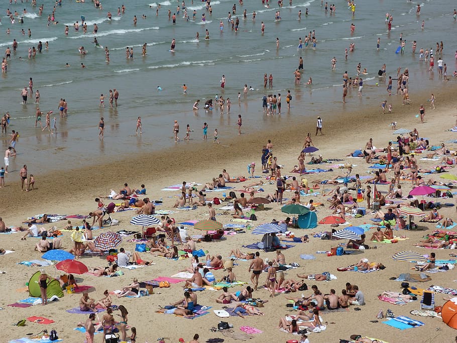 praia, mar, areia, lado, turismo, água, guarda-sol, sol, verão, biarritz