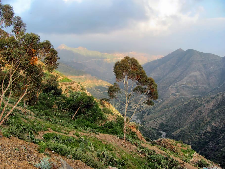 Eritreia, Montanhas, Vale, Paisagem, floresta, árvores, cênico, campo, natureza, fora