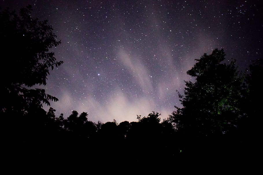 night at kashmir, milky way, kashmir, clouds, stars, night, pakistan, tree, sky, space