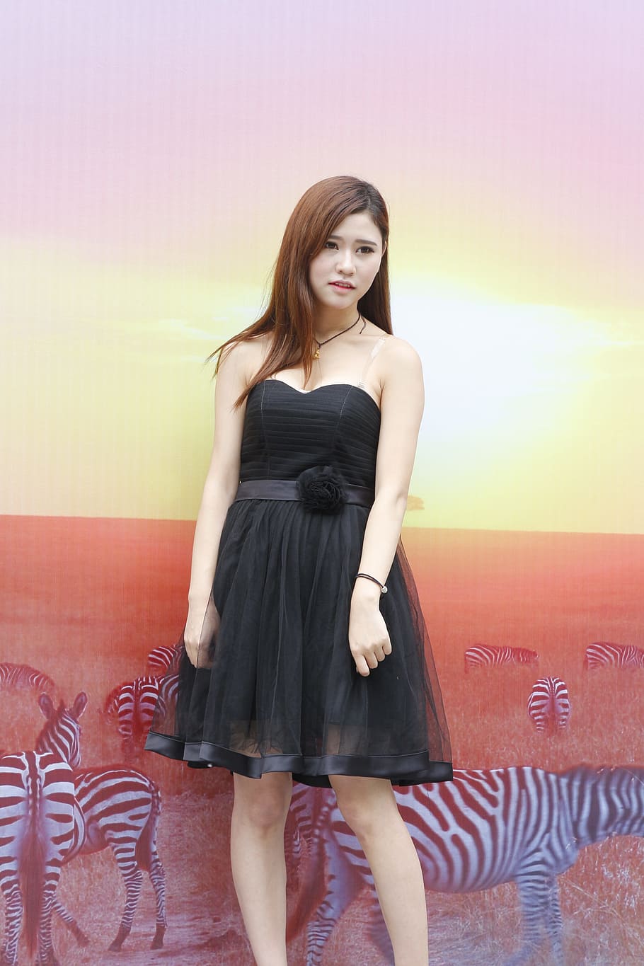 woman, wearing, black, sweetheart neckline mini dress, standing, wall, zebra, digital, wallpaper, woman in black