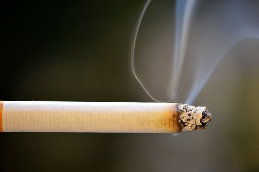 rokok, asap, bara, masalah merokok, kebiasaan buruk, merokok - struktur fisik, merapatkan, produk tembakau, masalah sosial, dalam ruangan