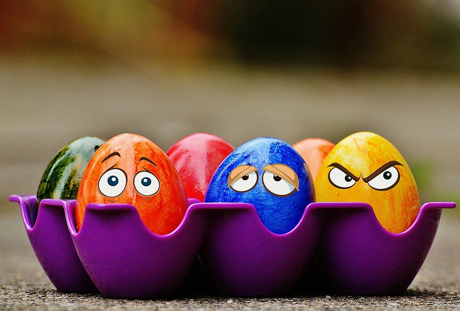 seis, huevos de varios colores, púrpura, bandeja de huevos, pascua, huevos de pascua, gracioso, ojos, colorido, pascua feliz