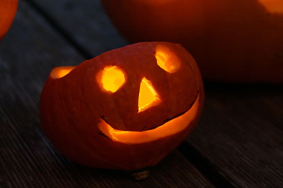 pumpkin, pumpkin ghost, autumn, decoration, halloween, bright, autumn decoration, halloweenkuerbis, orange, decorative