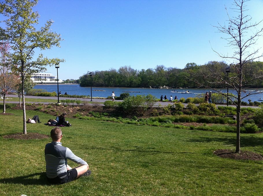 Yoga, Potomac River, Serenity, Outdoors, one person, adults only, one man only, sitting, grass, adult