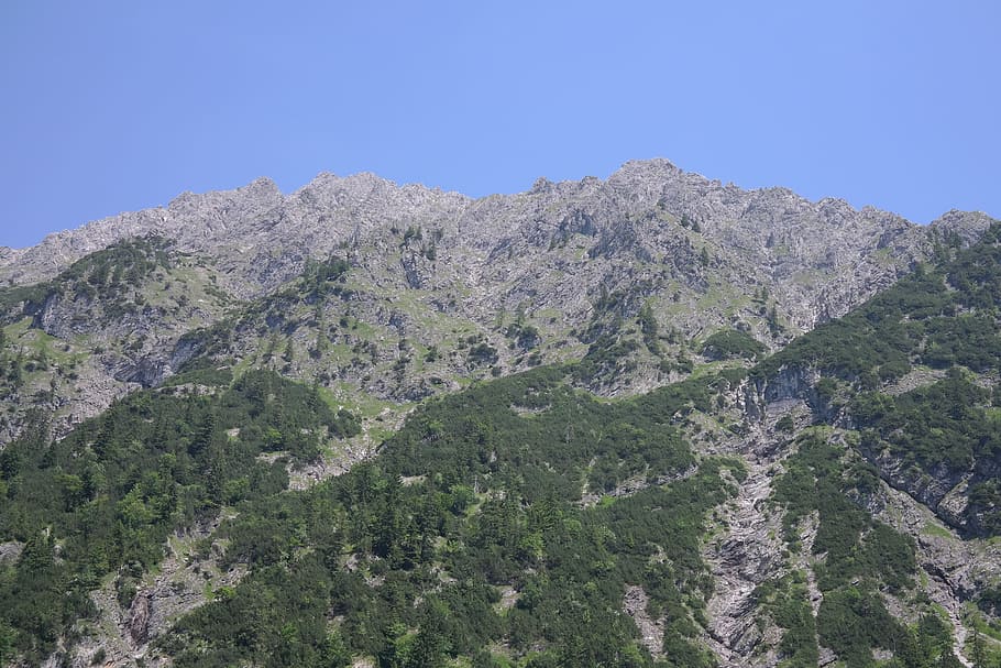 Steiner, Tal, Mountains, Alpine, behind steiner tal, rough horn, ball horn, mountain, nature, landscape