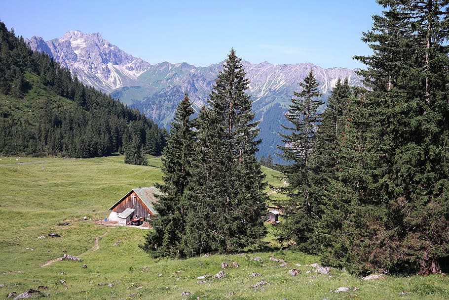 Willers, Alp, Bad Hindelang, willers alp, oberallgäu, mountain hut, hut, accommodation, trail, ostrachtal