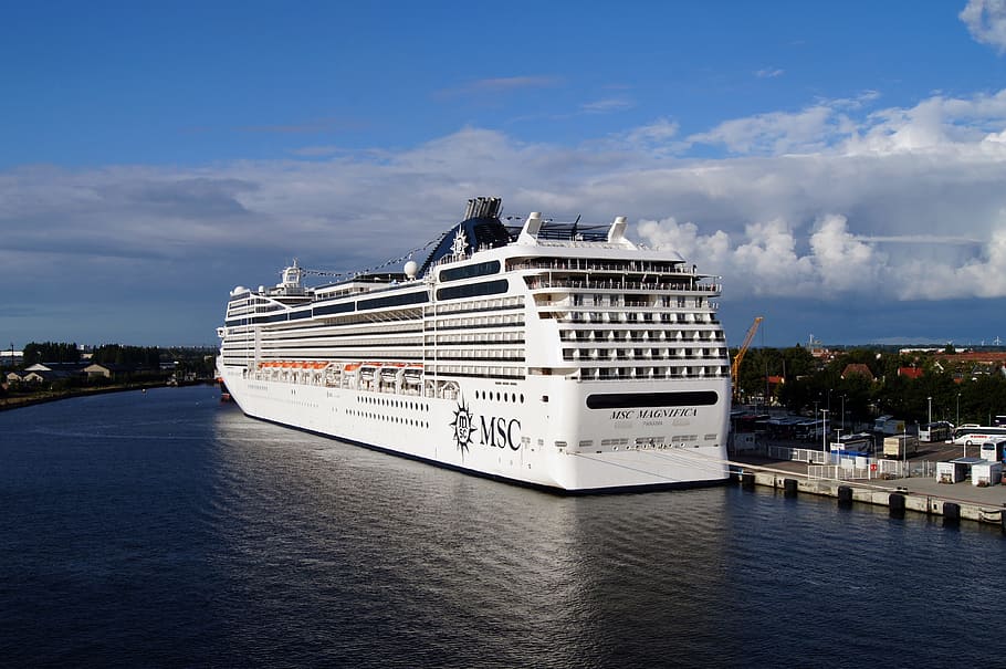 white, msc cruise ship, dock, daytime, cruise, ship, cruise ship, holiday, sea, travel