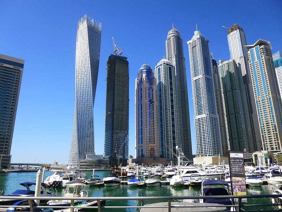 foto, alto, edificios de gran altura, durante el día, Dubai Marina, Rascacielos, dubai, marina, edificio, arquitectura