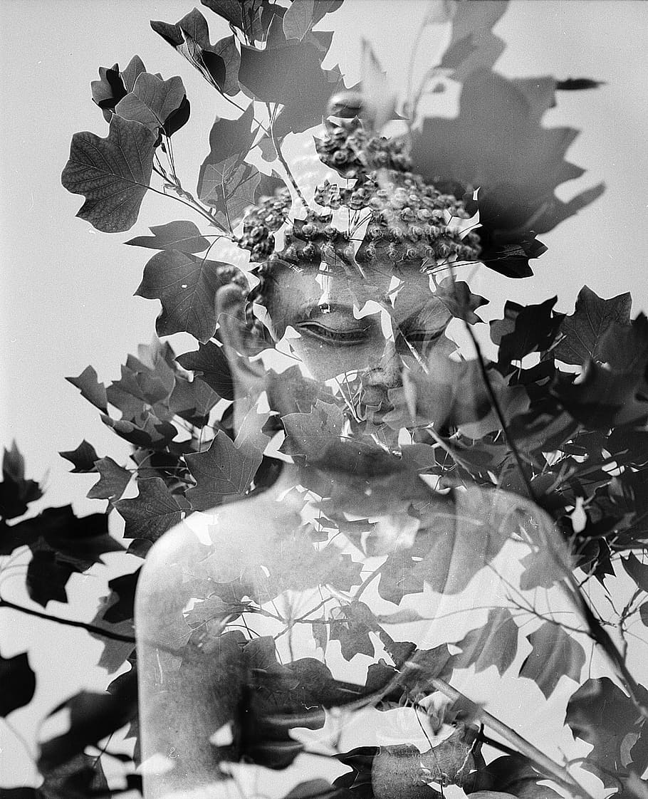grayscale photography, buddha, standing, leaf, meditation, spiritual, mantra, sacred, buddhism, oriental