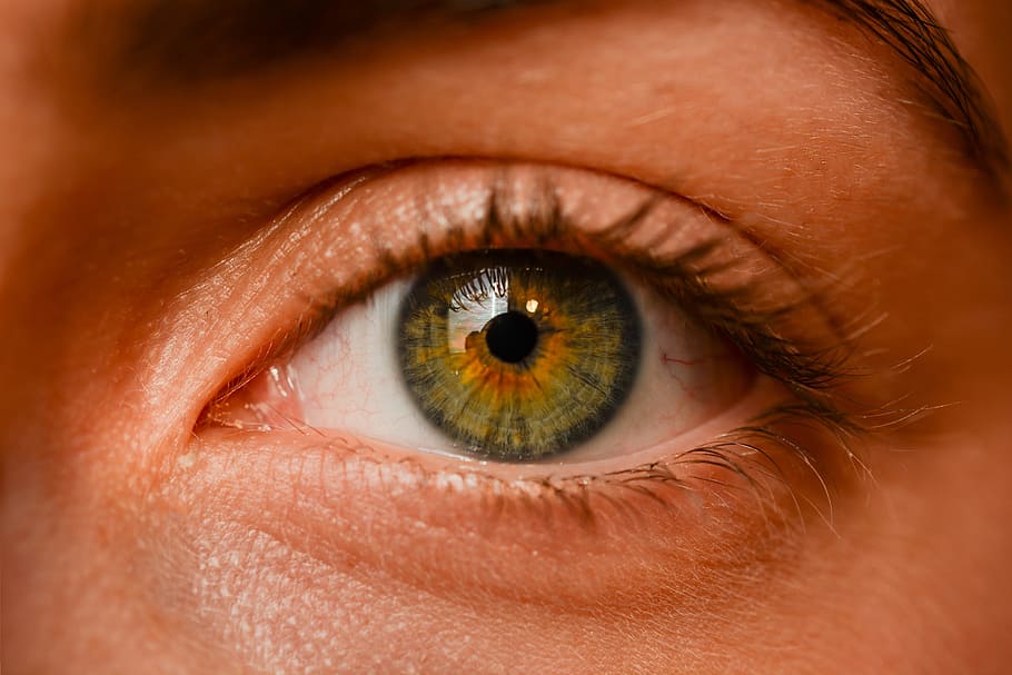 person, green, black, eyes, close, eye, iris, sight, eyebrows, algae
