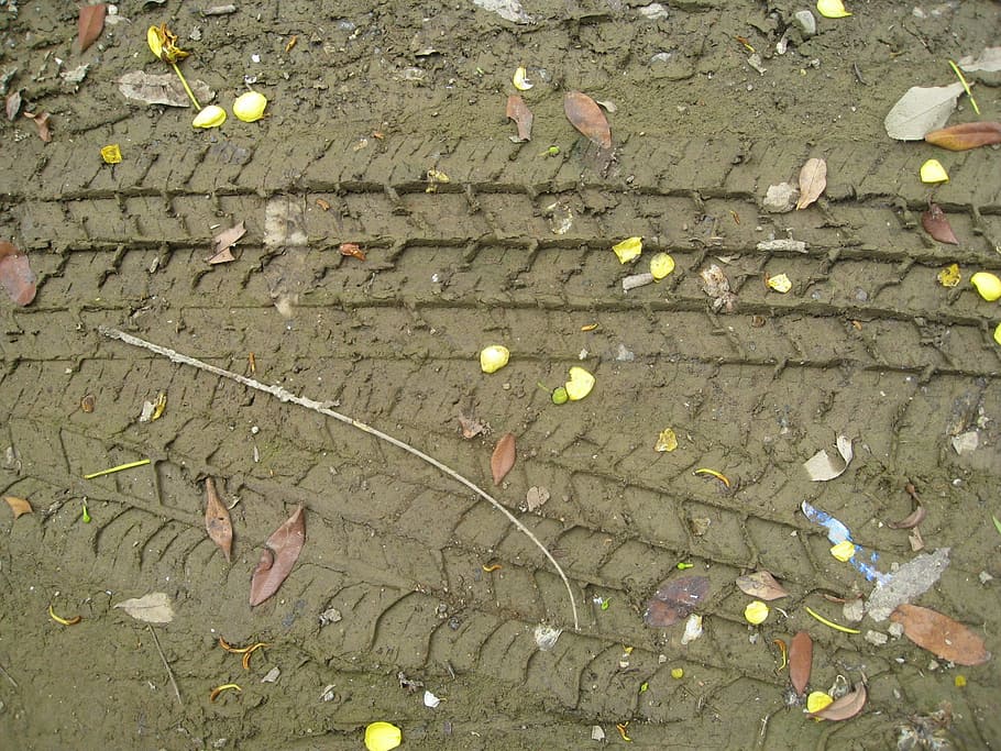 huellas de neumáticos, huellas, marcas, barro, mojado, tierra, suelo, marrón, parte de la planta, hoja