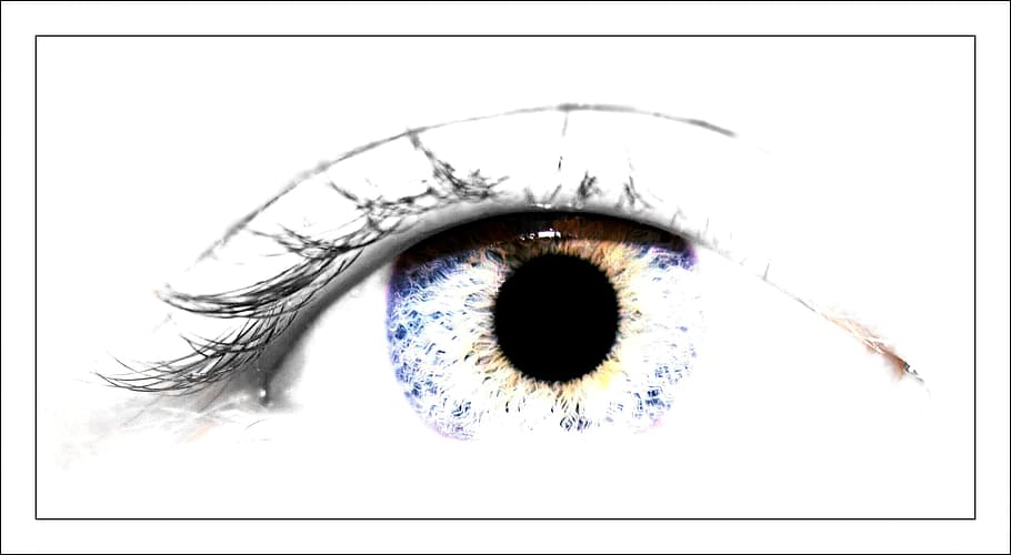 pupila, iris, ver, pestañas, lente, de cerca, macro, cerrar, reflejo, destello de luz de la lente