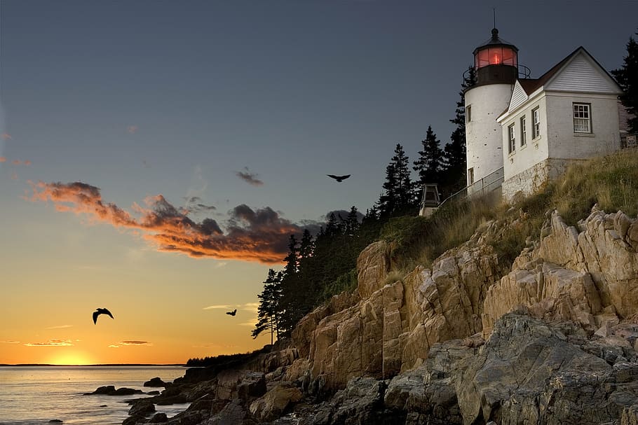 low, angle view, lighthouse, body, water, golden, hour, bar harbour, maine, sunset
