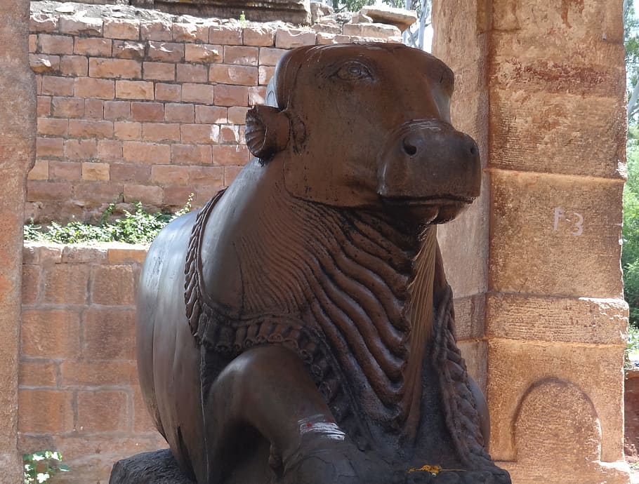 Nandi, Bull, Pattadakal, Temple, India, nandi, bull, sculpture, monument, statue, creative