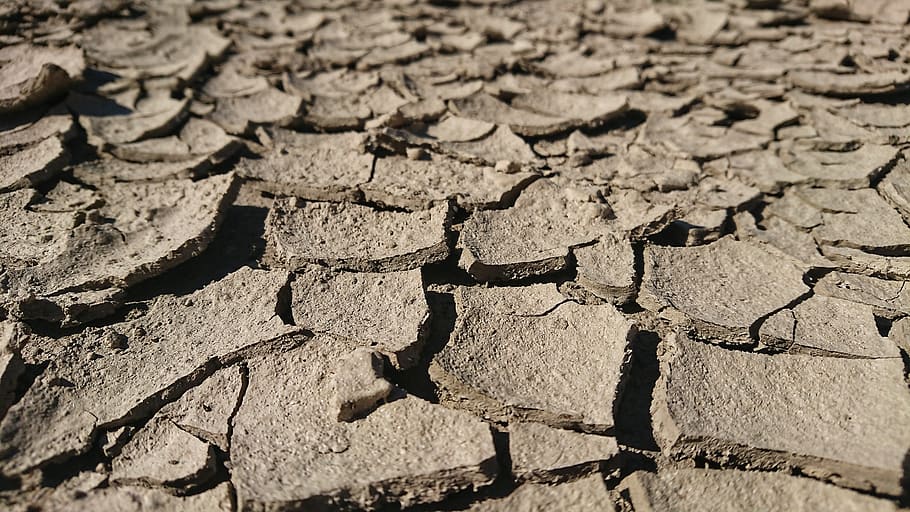 clay, drought, brown, dry, structure, textures, crack, wilderness, cracked, arid climate