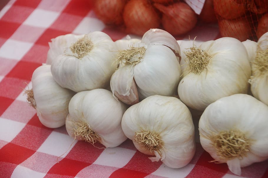 garlic, condiment, food, seasoning, aromatic, vegetables, spicy, white, costs, plants