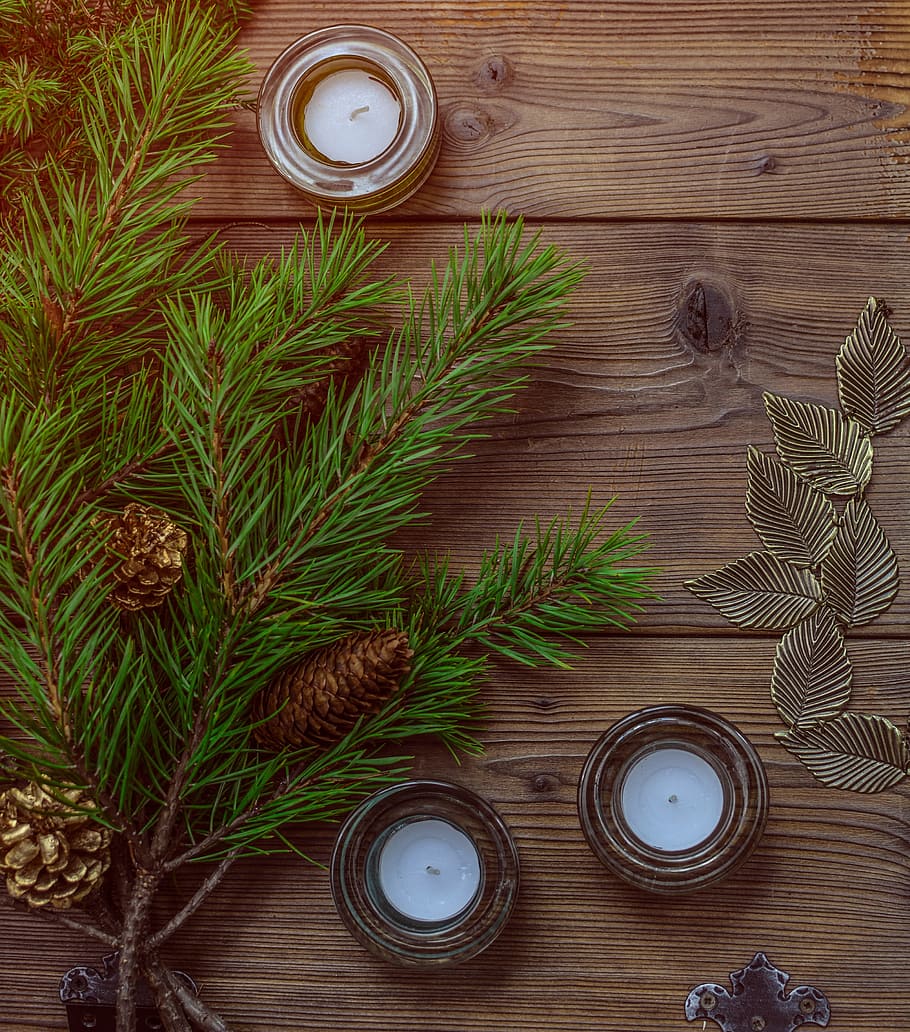 three, tealight candles, branch, fir, leaves, pine cones, christmas, decoration, christmas decoration, xmas