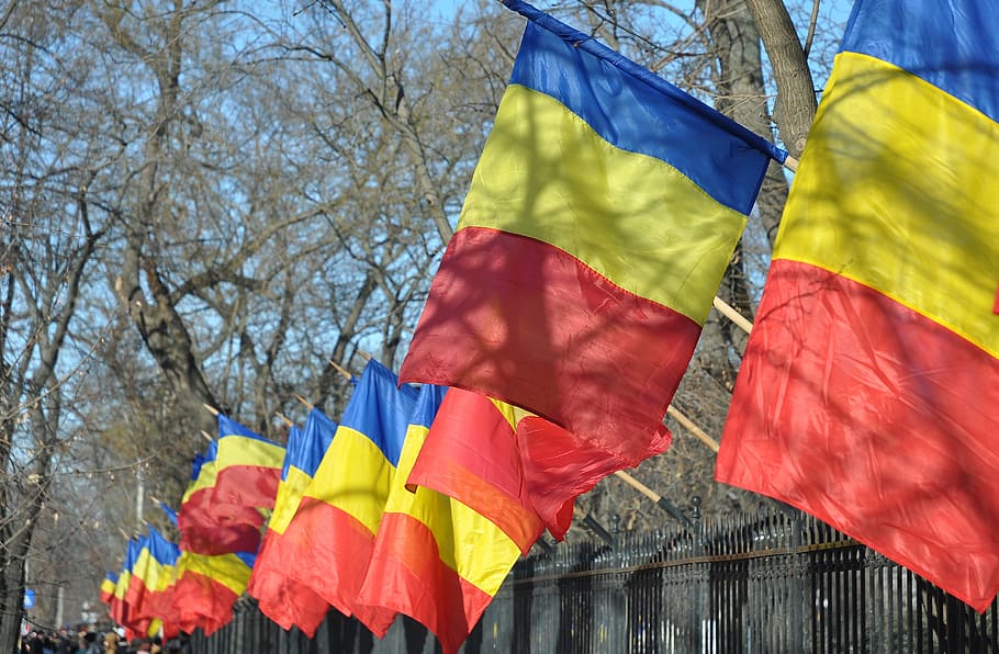 romania, flag, national day, europe, symbol, nation, patriotism, tree, multi colored, nature