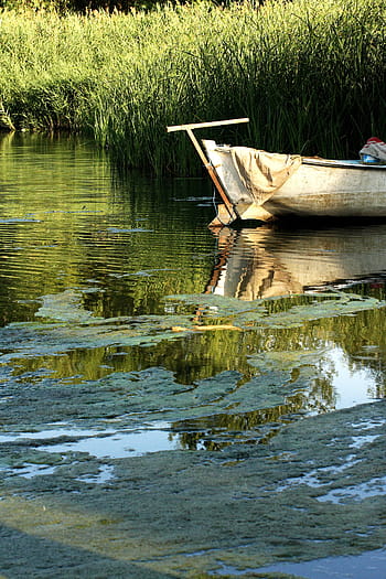 boat-river-lake-nature-royalty-free-thumbnail.jpg