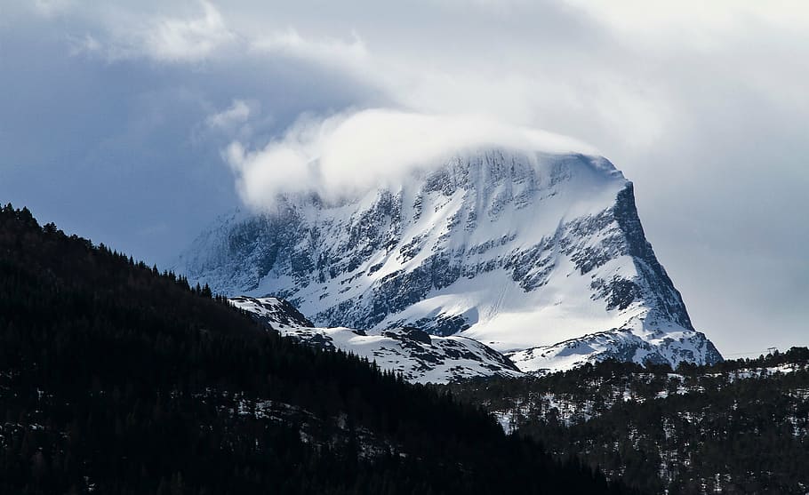 fotografía de paisaje, nevado, montaña, cubierto, hielo, rodeado, árboles, nieve, invierno, blanco